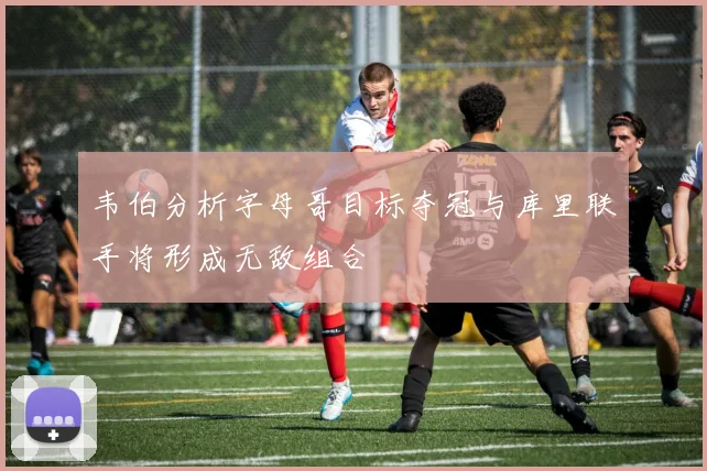韦伯分析字母哥目标夺冠与库里联手将形成无敌组合